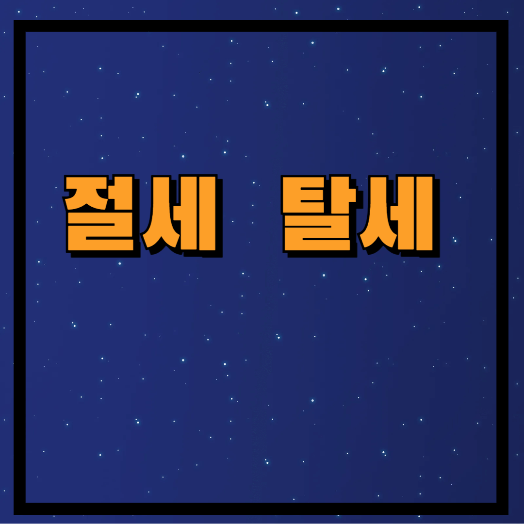 절세 탈세