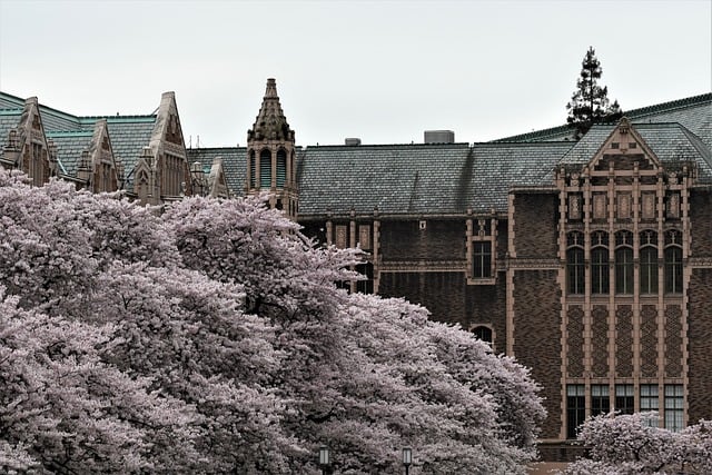 University of Washington