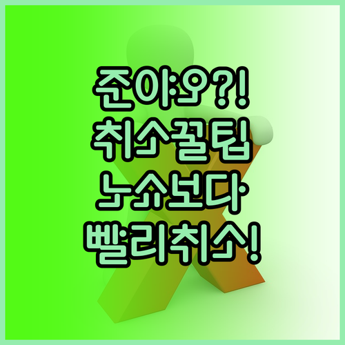 준야오항공 취소 수수료, 노쇼보다는 ..