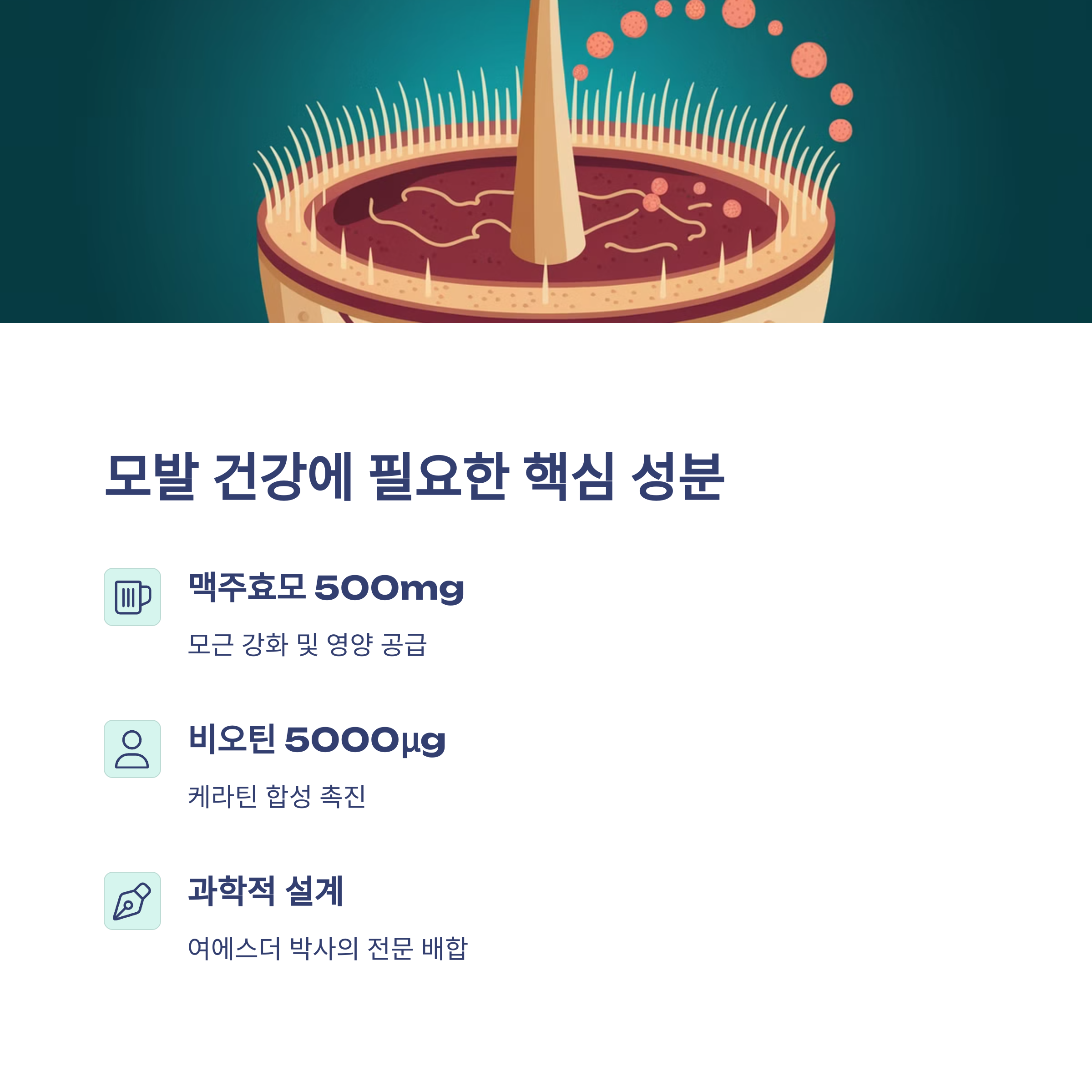 여에스더 아누카사과 플러스 맥주효모와 비오틴