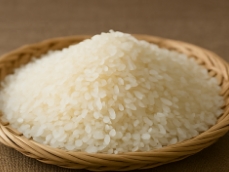 쌀벌레 없애는법