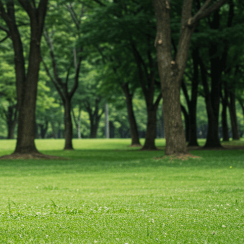 맨발 걷기 효능 사진 9
