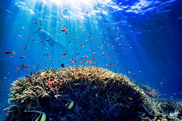 미야코지마-항공권-가격