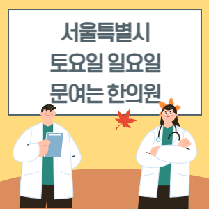 서울 토요일 일요일 한의원 진료 병원 리스트