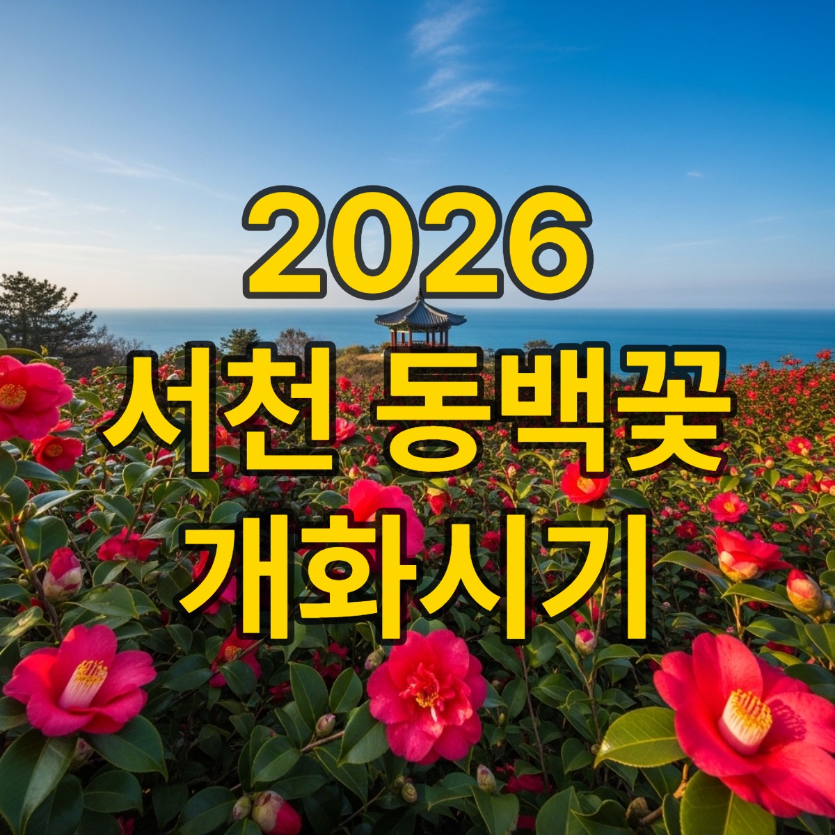 서천 동백꽃 개화시기