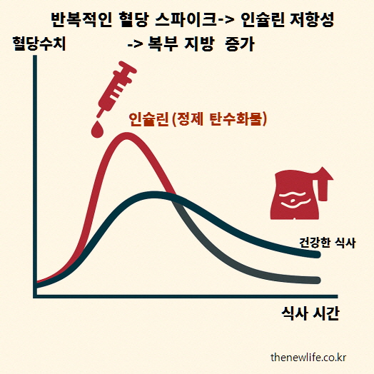 정제 탄수화물 섭취 시 혈당이 급격히 상승하고 인슐린 분비가 증가하여 복부 지방이 축적되는 과정을 그래프로 설명한 이미지.