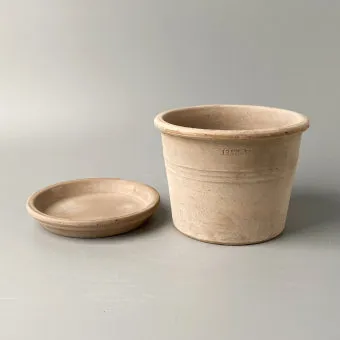 토분 관리 세척요령 흰가루제거 배수력장점 물주기 타이밍 맞추기_3