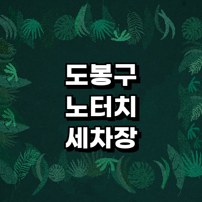 서울 도봉구 노터치 세차