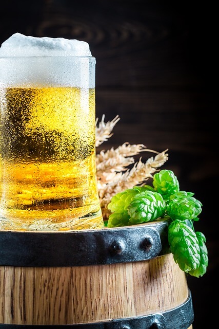 전국 맥주 축제 일정, 장소