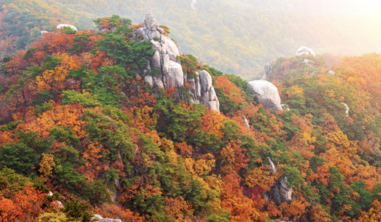 설악산단풍절경