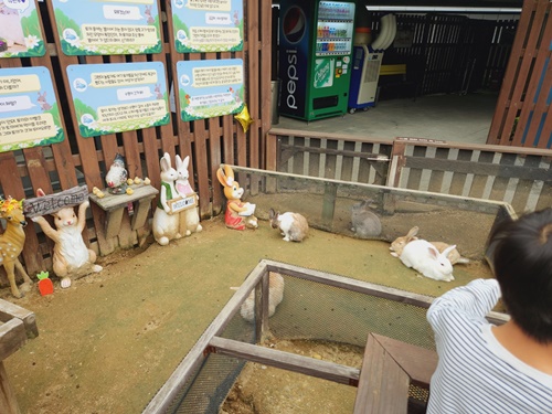 아쿠아플라넷 일산 할인 입장권 저렴한곳 + 다녀온 후기