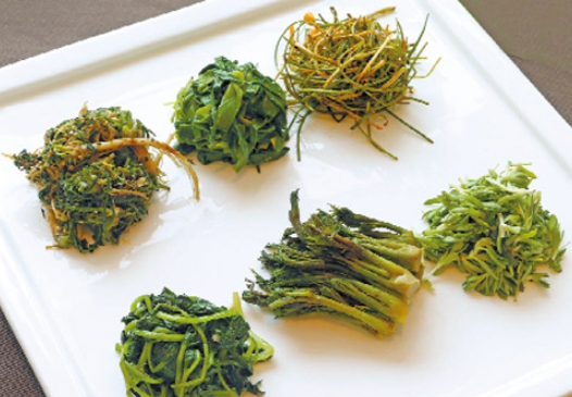 한국 음식-봄 나물 요리