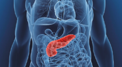 췌장에좋은음식이미지