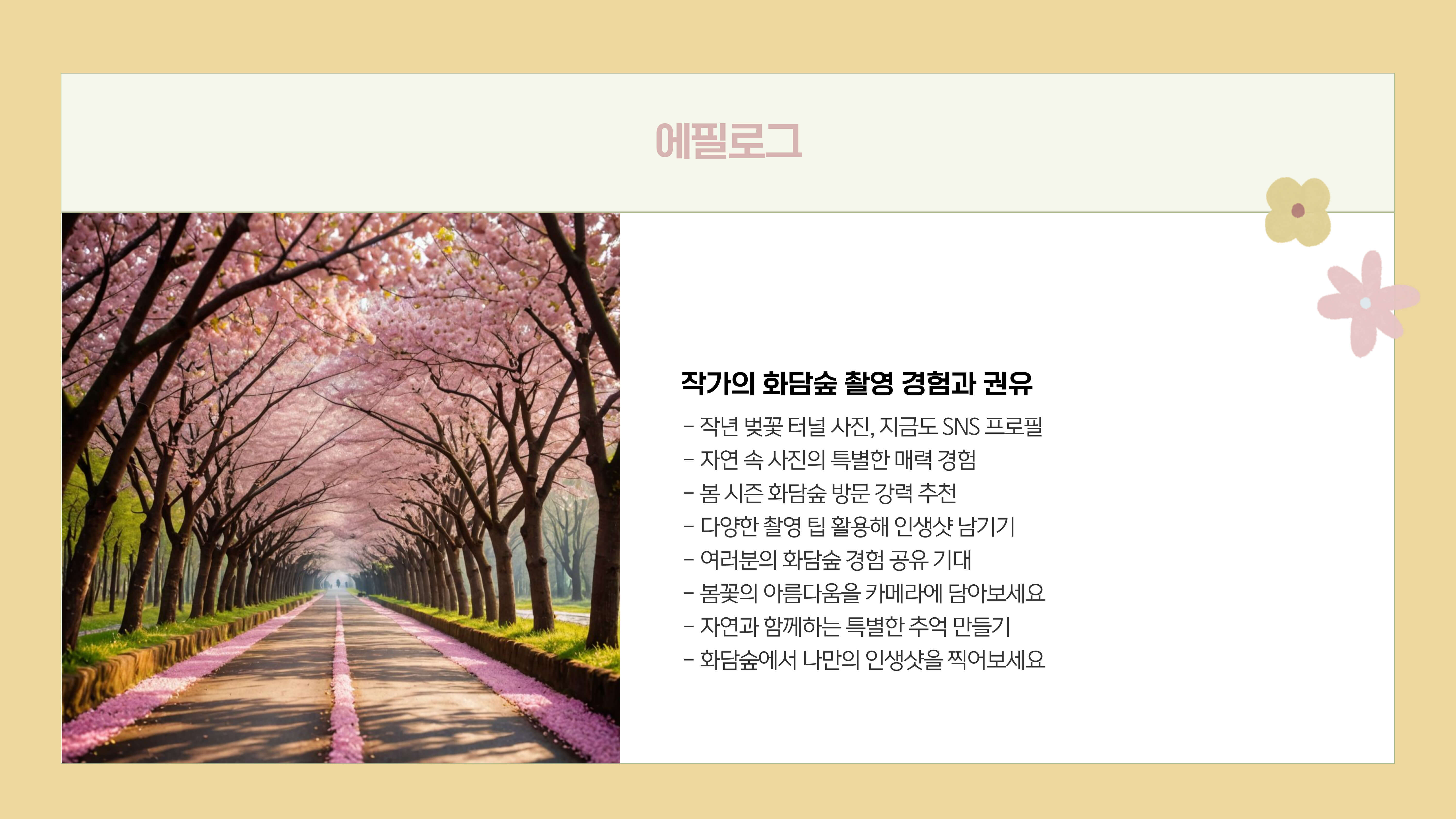 화담숲 봄꽃 사진 촬영 팁