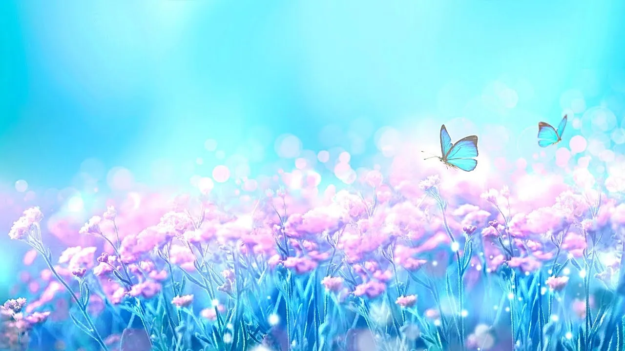 차 한잔하실래요 완벽 힐링 음악_5