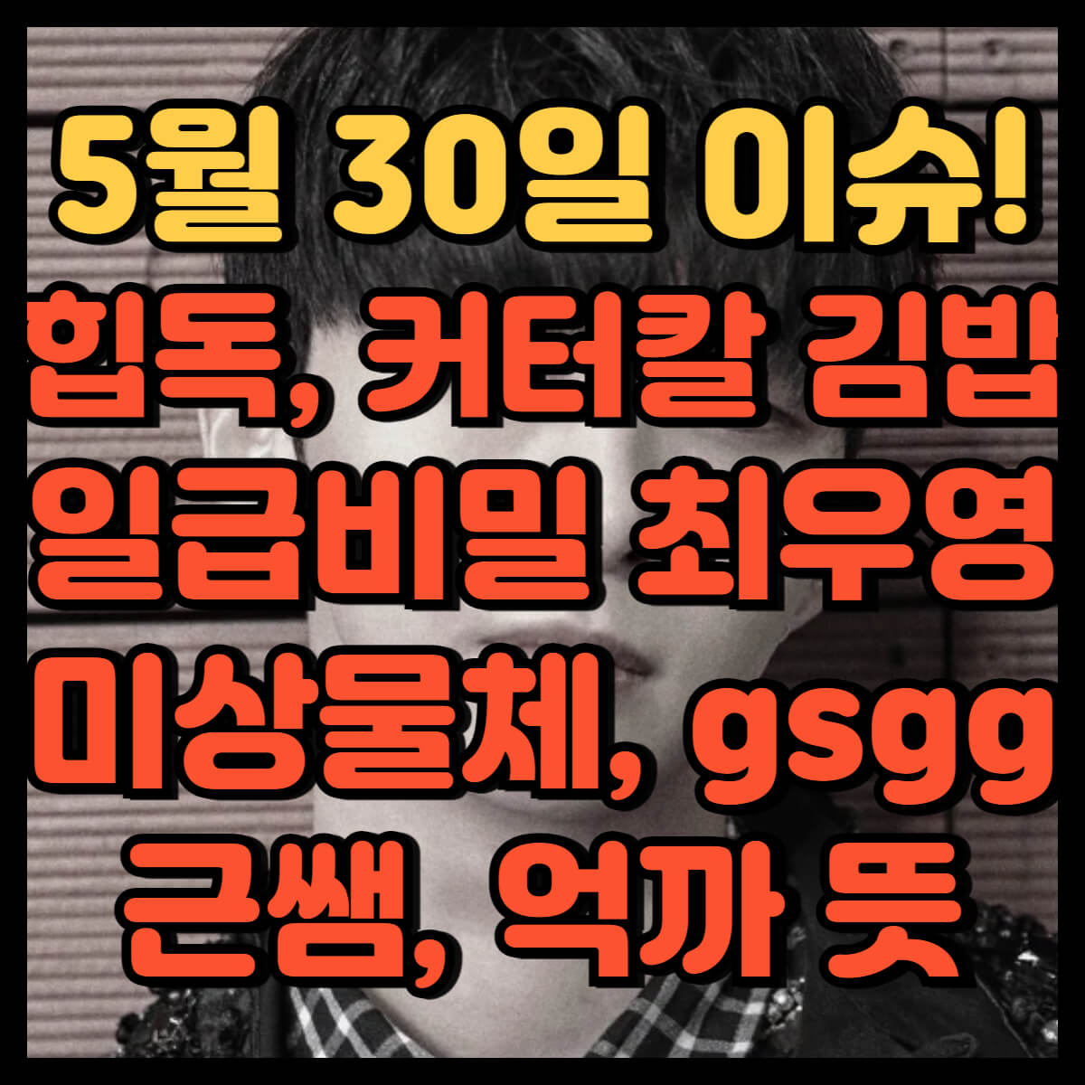 일급비밀 최우영