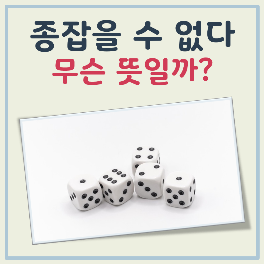 종잡을 수 없다 뜻 대표 이미지