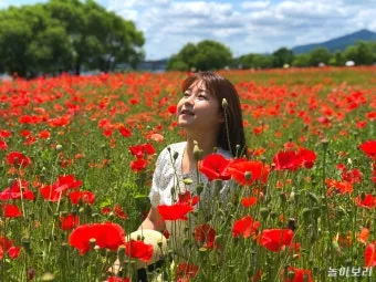 6월 국내여행 추천지 BEST 7곳 지금 떠나기 딱 좋은 완벽한 힐링 명소 총정리_25