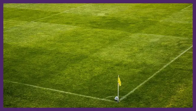 오늘 축구경기 중계채널 바로보기