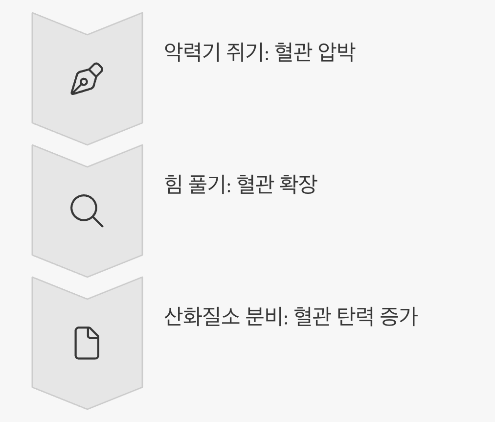 쥐었다 폈다, 혈관의 '스트레칭'