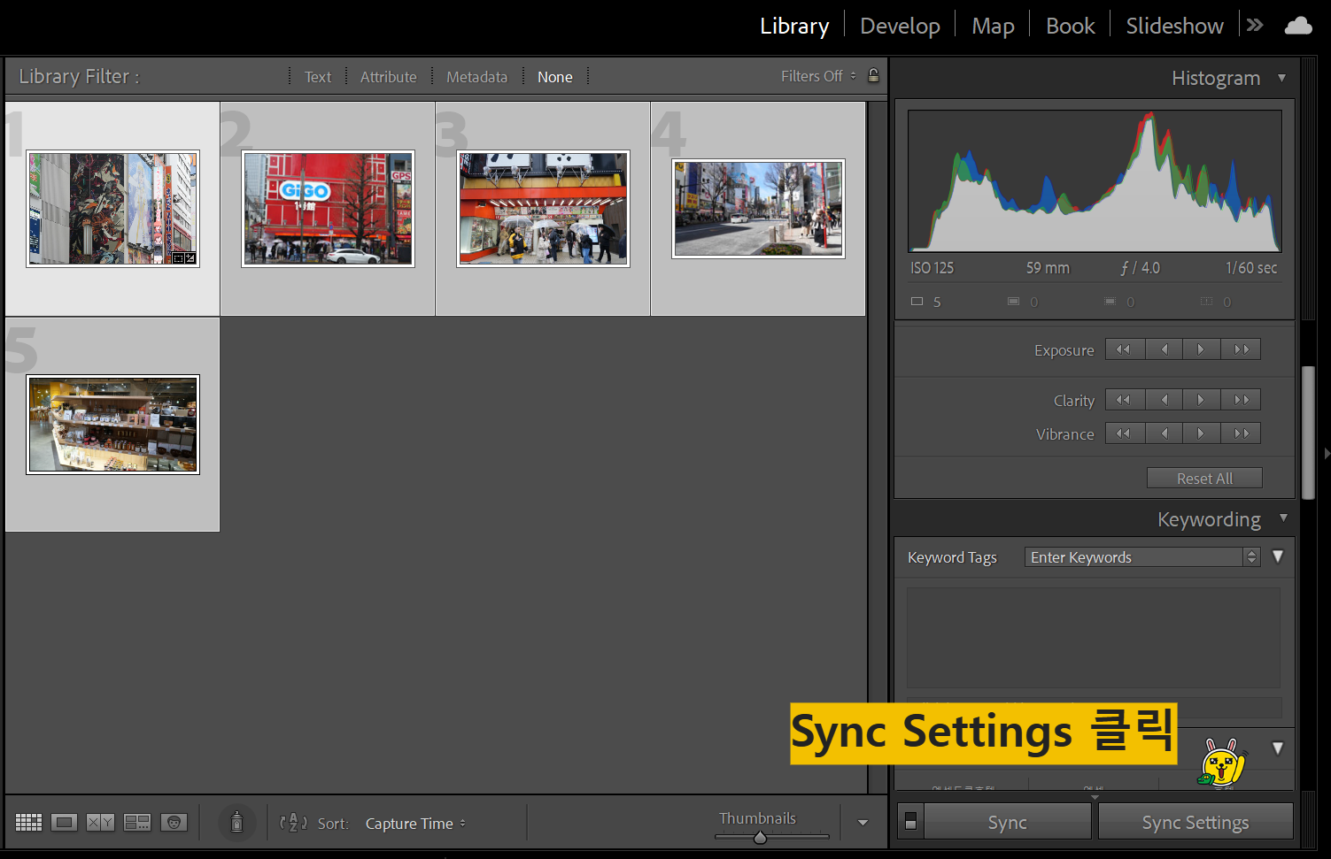 Sync Settings 진행