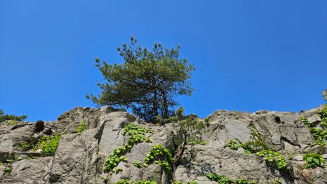 골프장 경험담 원주 센추리21cc 코스 다양성과 지형 특성 덕분에 여러 난이도의 라운드를 즐기는 골프장