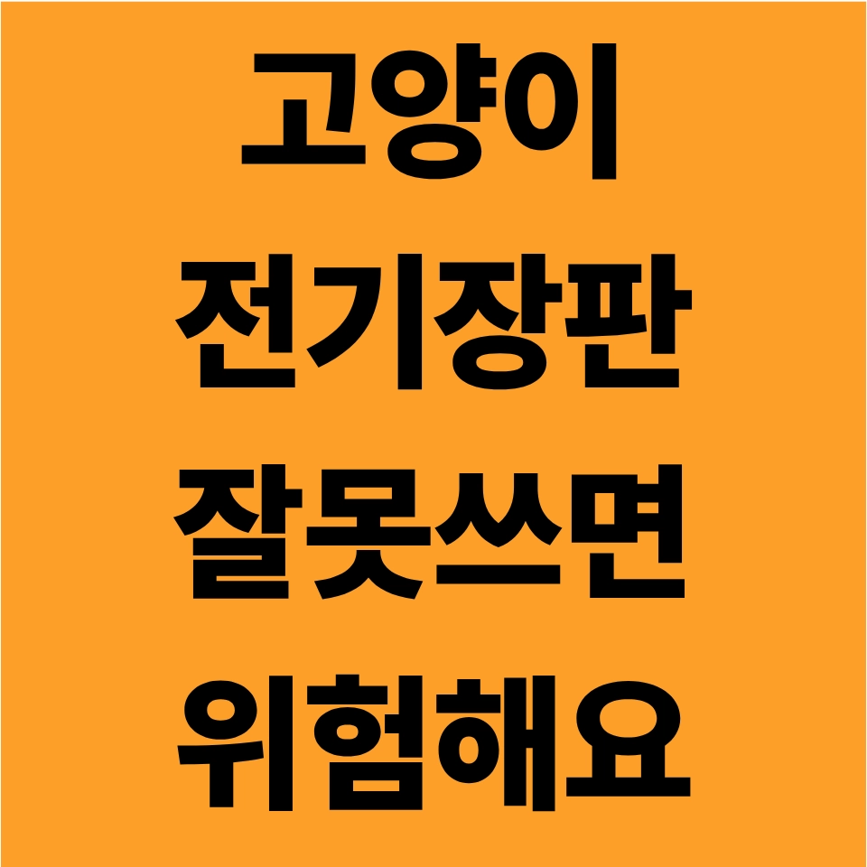 고양이 전기장판 사용 시 주의사항과 안전 기준을 설명하는 블로그