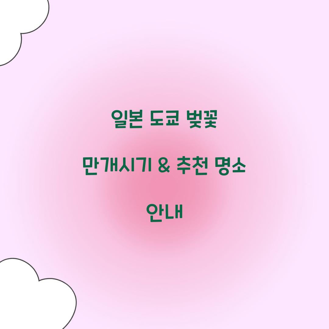 일본 벚꽃 만개시기