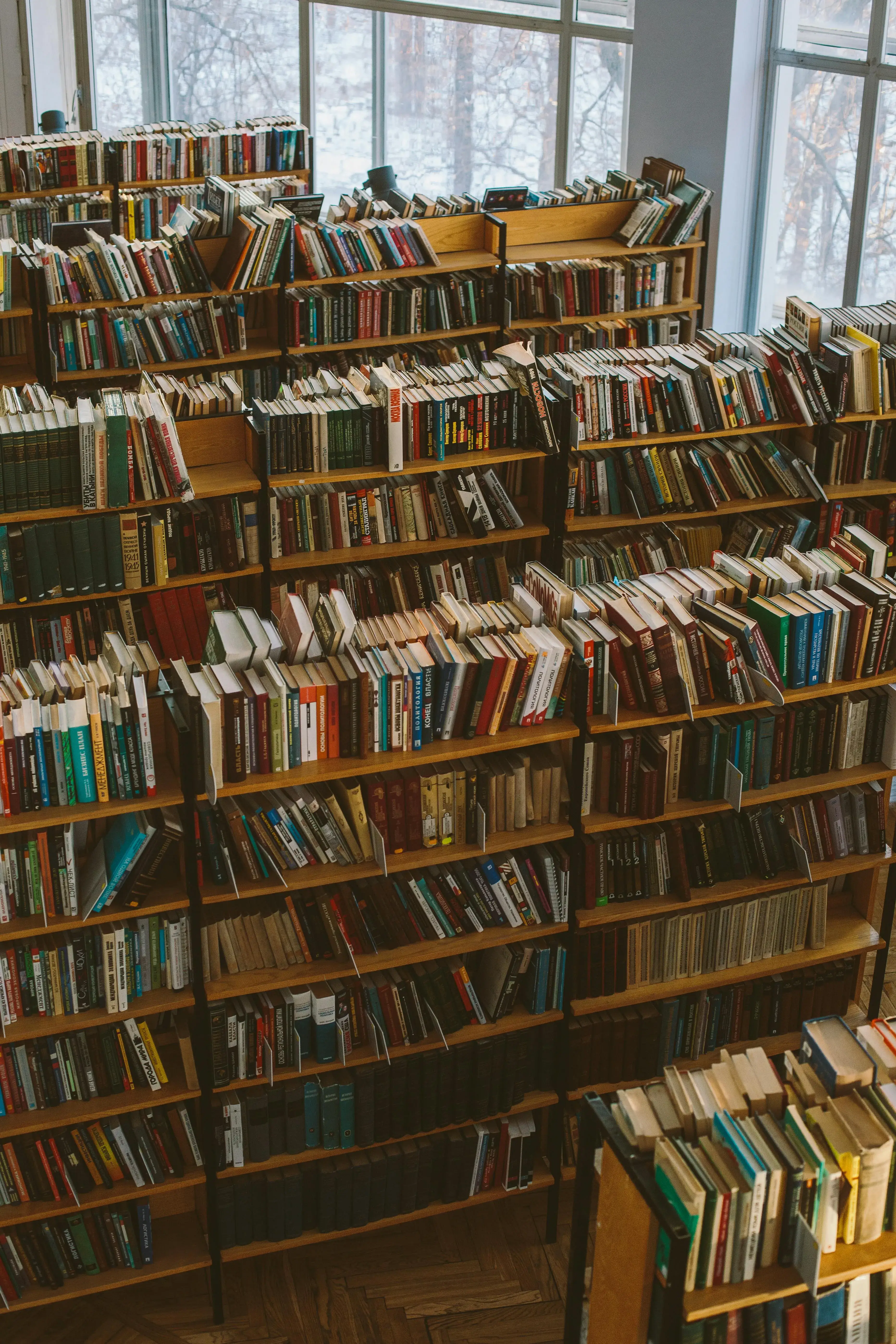 내일배움카드 vs 국민취업지원제도&#44; 뭐가 더 유리할까? 상황별 최적 선택 가이드