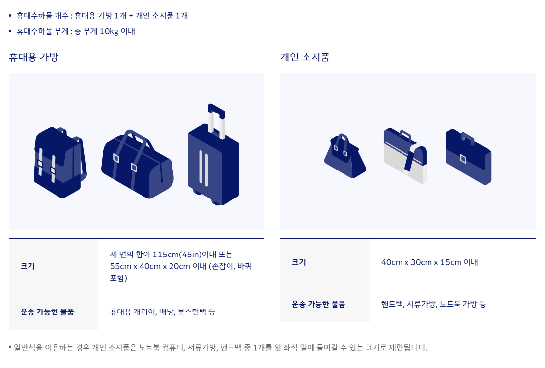 기내수하물