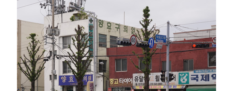 광주 서구 항문외과