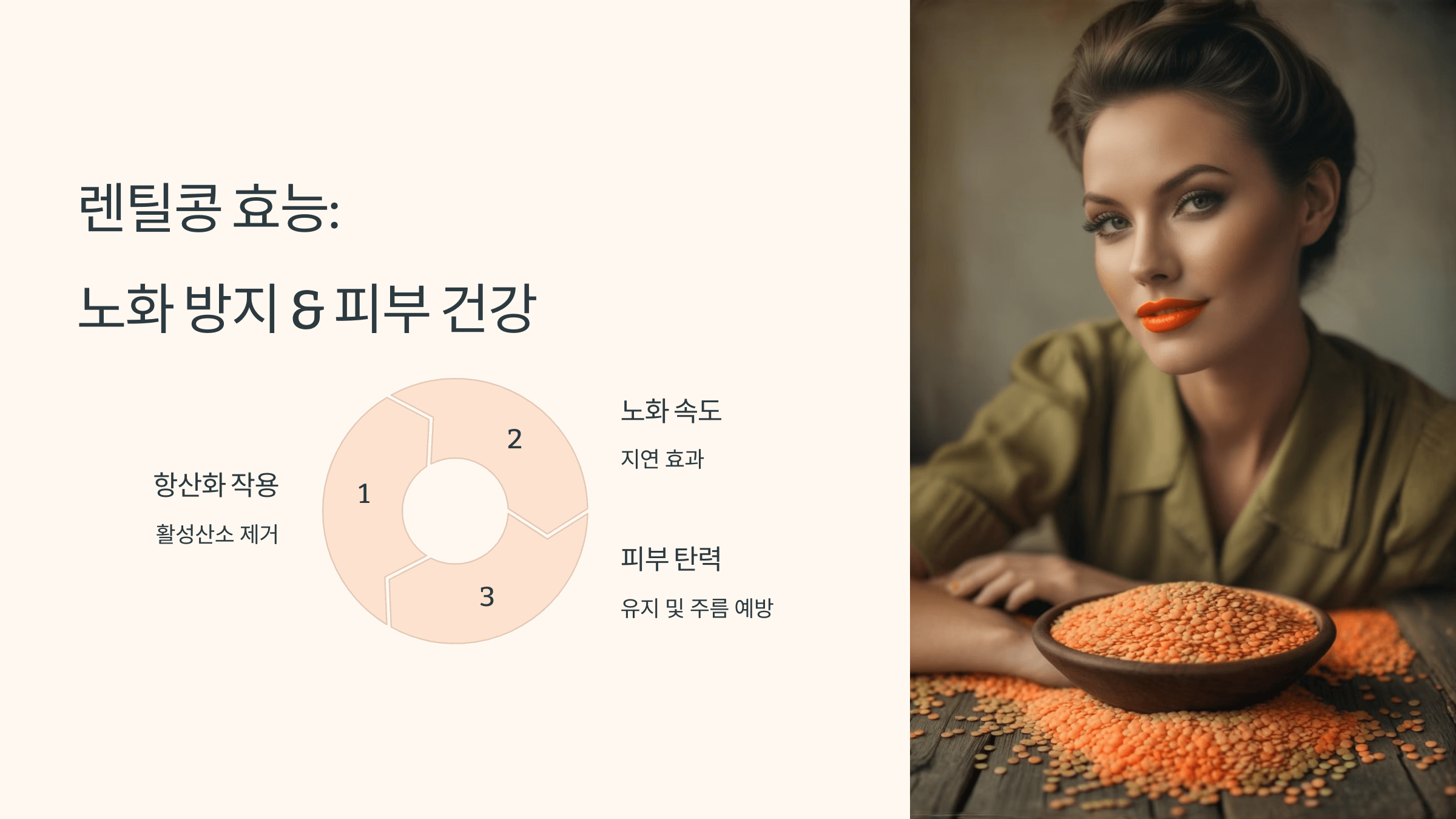 렌틸콩 사진입니다.