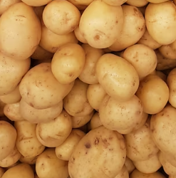 과민성 대장증후군에 좋은 음식 영양제 식단