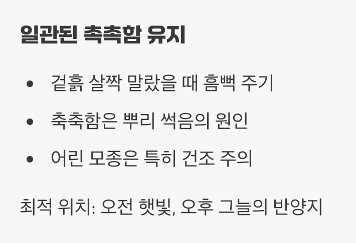 촉촉함은 좋지만, 축축함은 싫어요