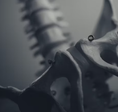 공심채 효능 부작용 고르는법 칼로리 다연채 모닝글로리