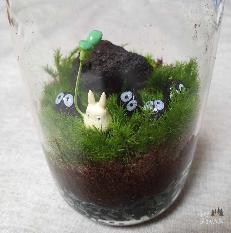 테라리움 꾸미기