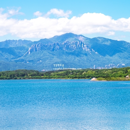 강원도 가볼만한곳 베스트10