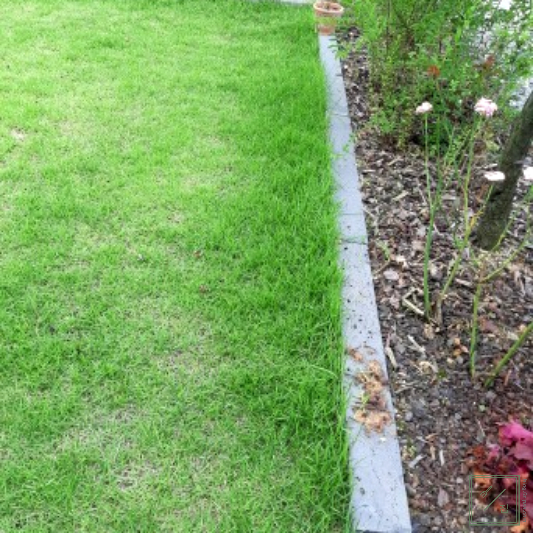 잔디 사진 입니다.