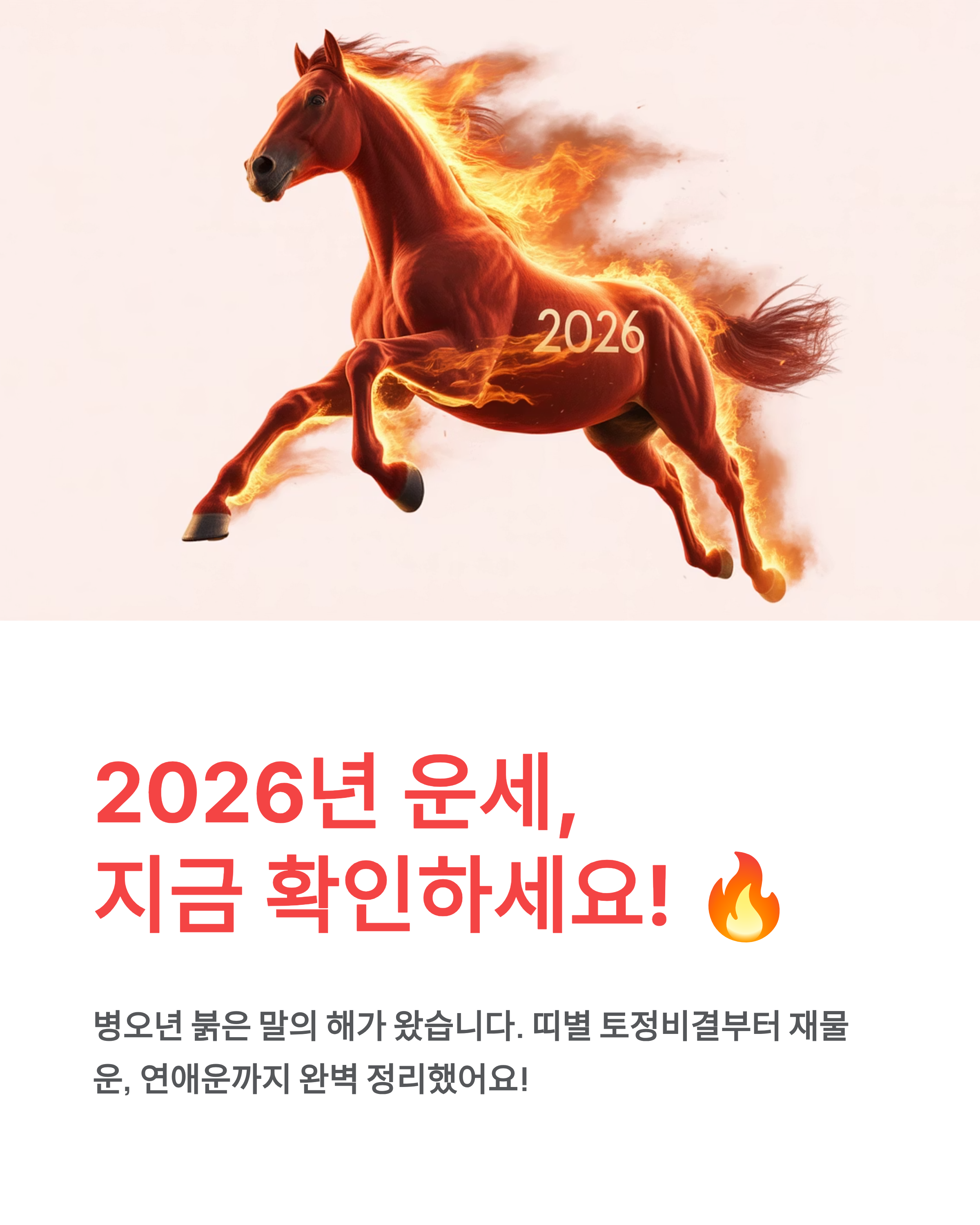 2026 무료 신년운세 대공개!띠별 토정비결·재물운·연애운까지 완벽 정리 🔥