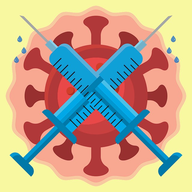 스트레스가 면역 체계에 미치는 영향과 해소 방법