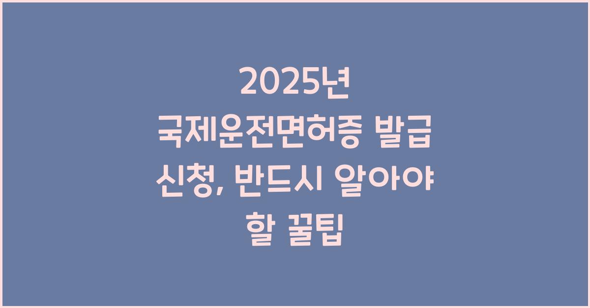 2025년 국제운전면허증 발급 신청