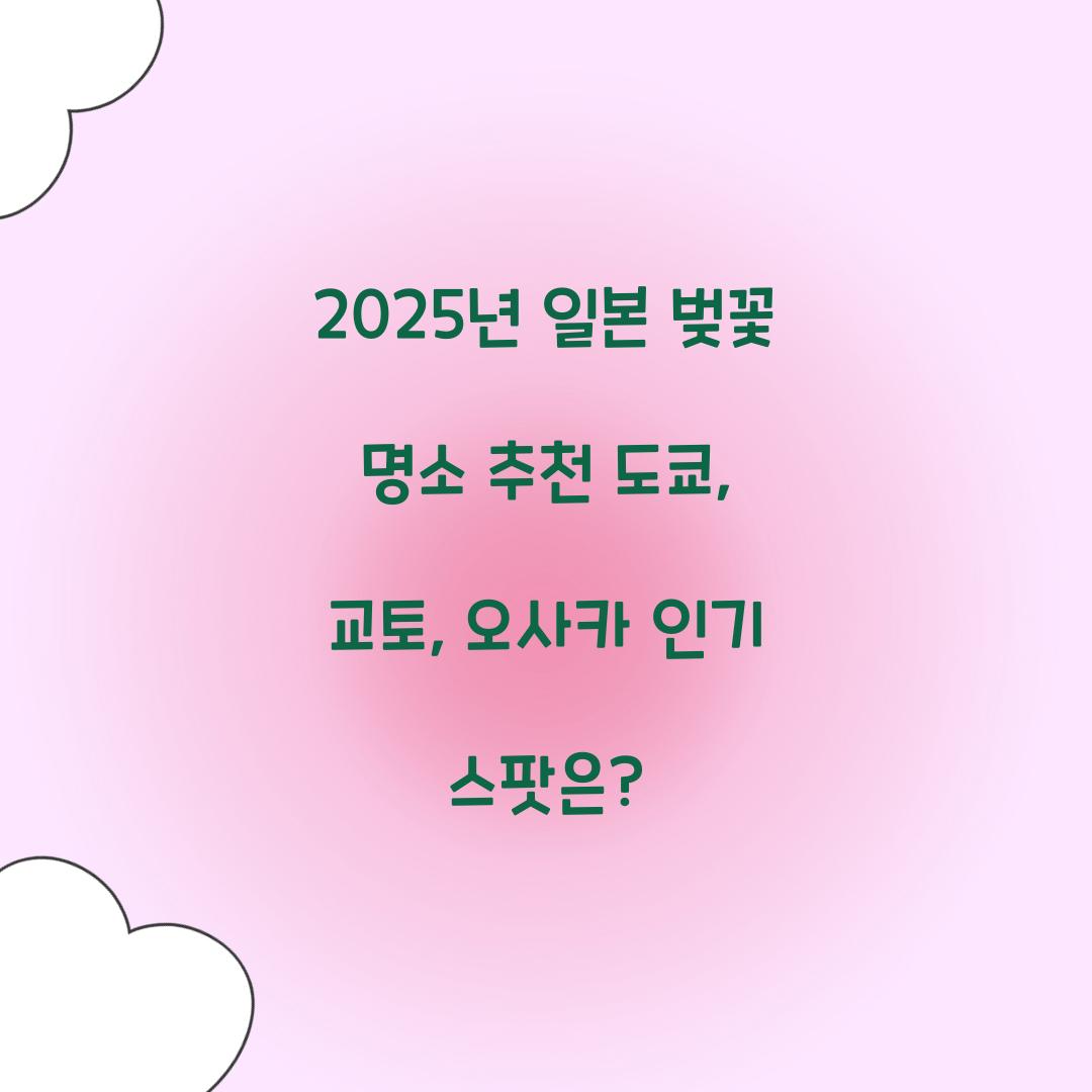 25년 일본 벚꽃