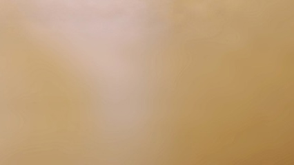 새싹이 크고있음