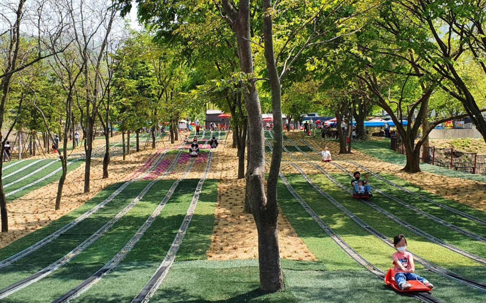 가산수피아 플라워 페스티발