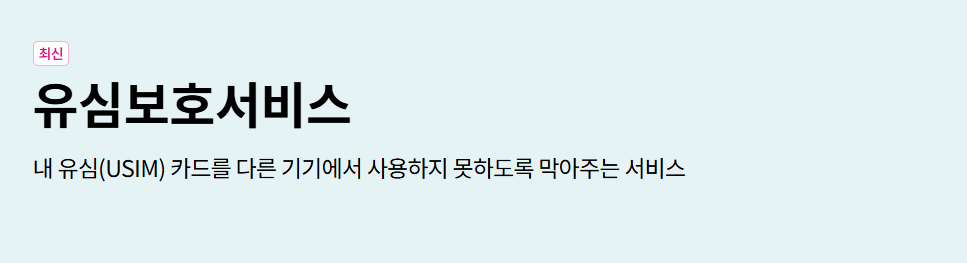유심보호 서비스
