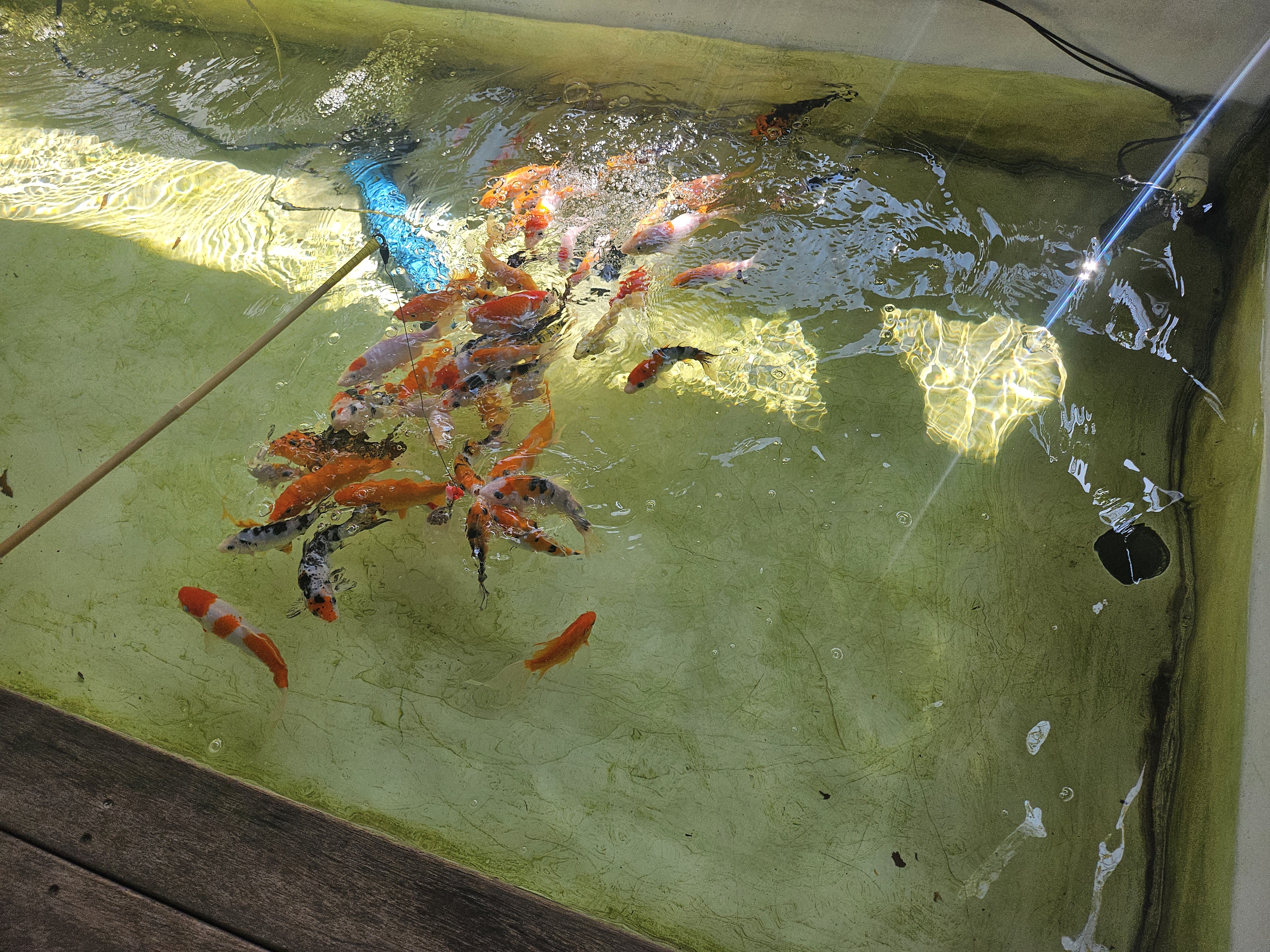 파주 퍼스트가든