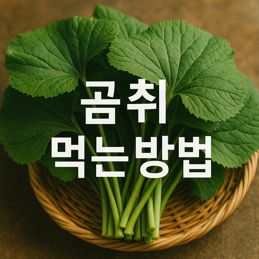 곰취 먹는방법