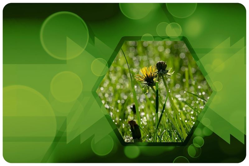 식물보호산업기사 응시자격 시험일정 노후 재취업 자격증