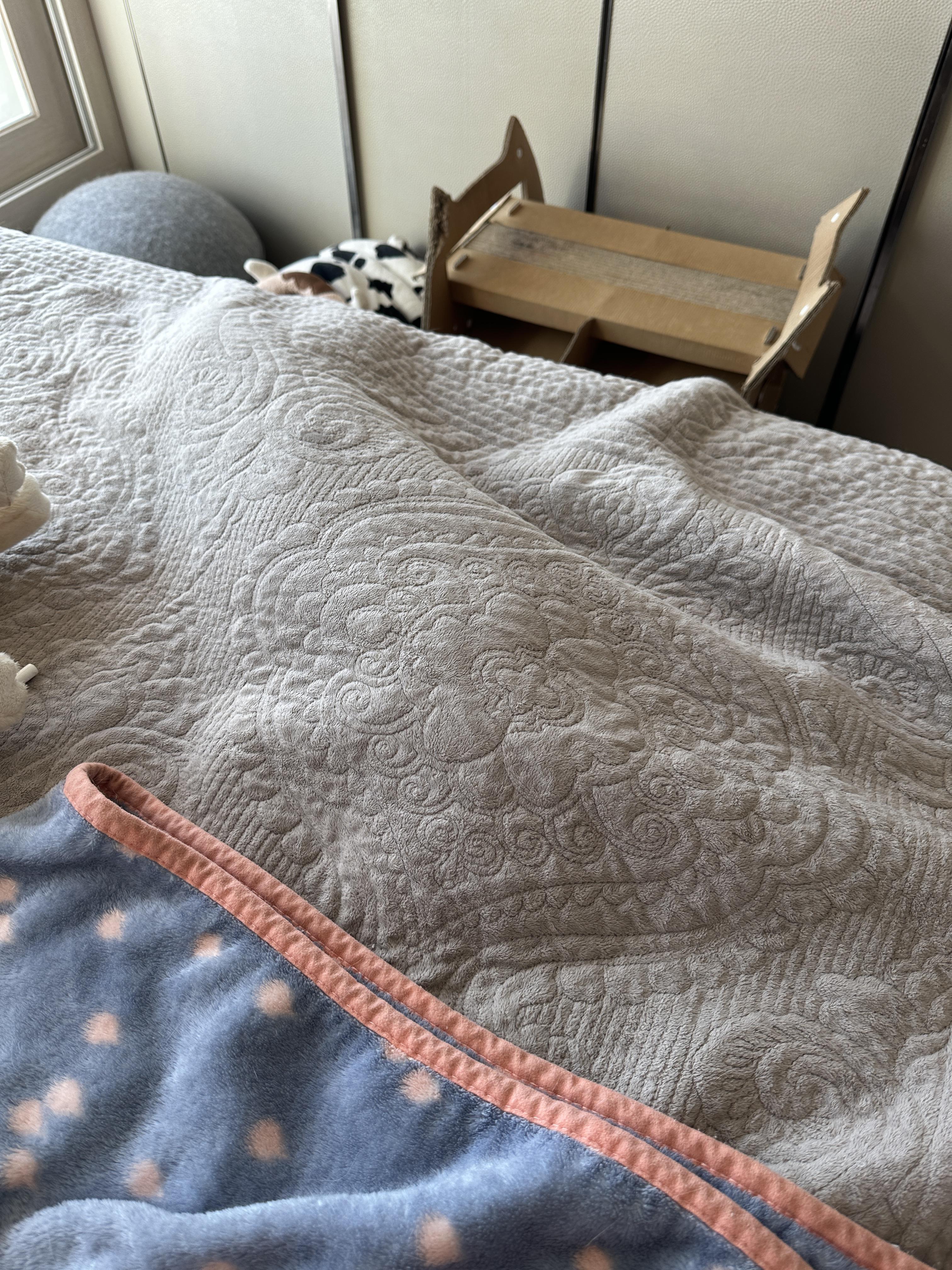 침대에_깔아둔_이불_아래에_들어가_있는_건이