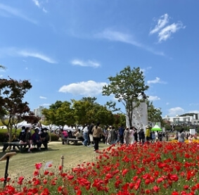 울산 꽃축제